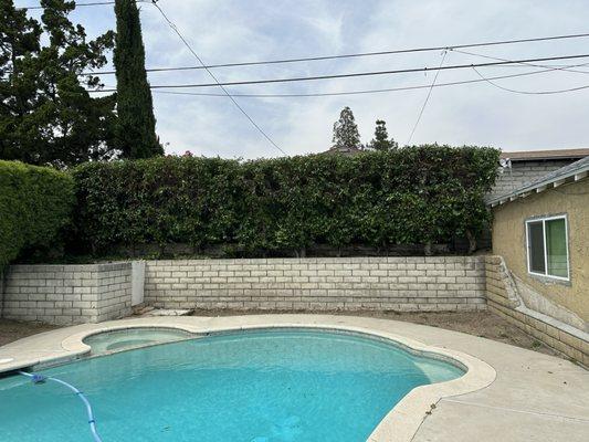 Rene Martinez Tree Service