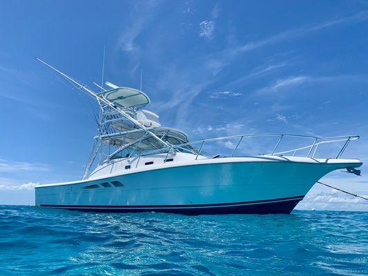 Calypso Charters
