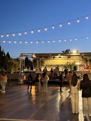 Tarantula Hill Brewing Co LLC