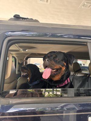 Rasberry Animal Clinic