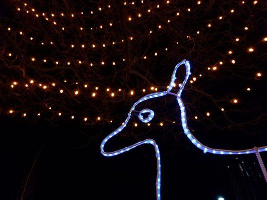 Westminster City Government