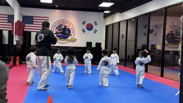 Champions Martial Arts