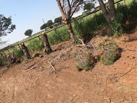 WT Proficient Services