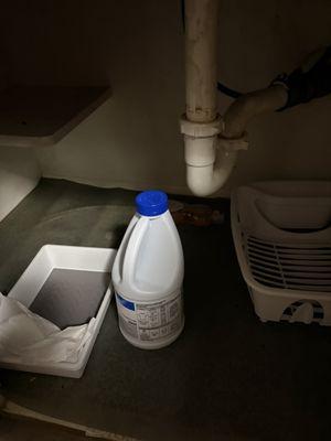 Under sink kitchen THE WORST PLACE TO STAY IN WILTON MANORS FLORIDA DO NOT STAY!!! Kady properties