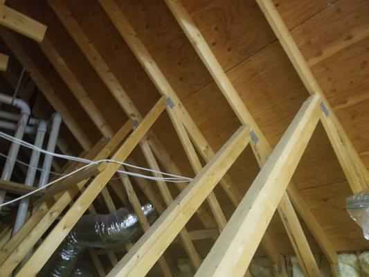 Roaring Fork Spray Foam