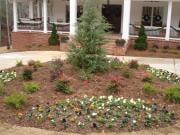 Grass Masters & Designs Inc