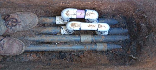 Water Smart Landscapes