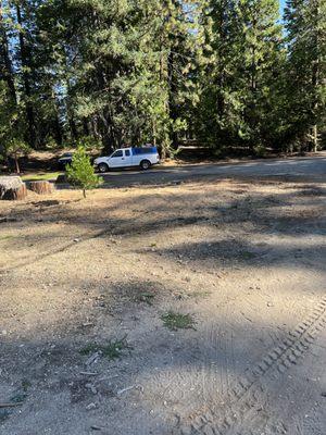 A & A Stump Grinding