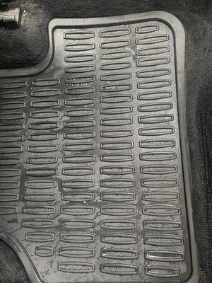 Prestige Carwash & ExpressCare