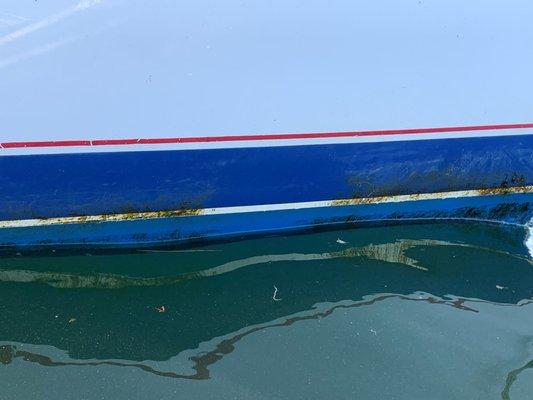 Dave's Dive Services