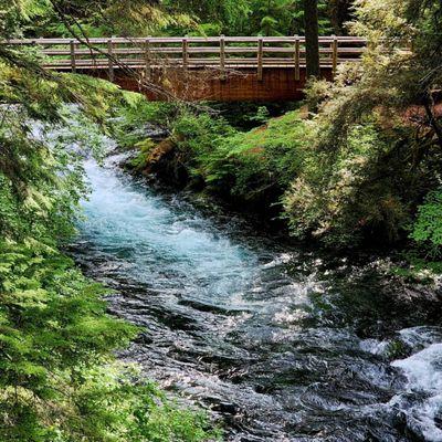 McKenzie River National Recreational Trail