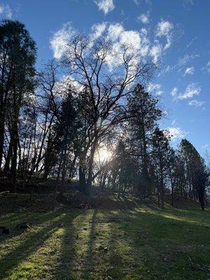 New View at New Location 2716 Coloma Street (Upstairs) 95667