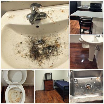 The Messiah Cleaners