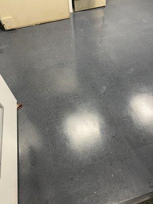 Thomas Floor Cleaning & Janitorial Services LLC