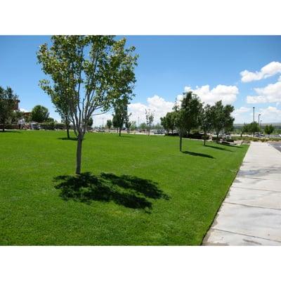 Will-Seal Asphalt Maintenance