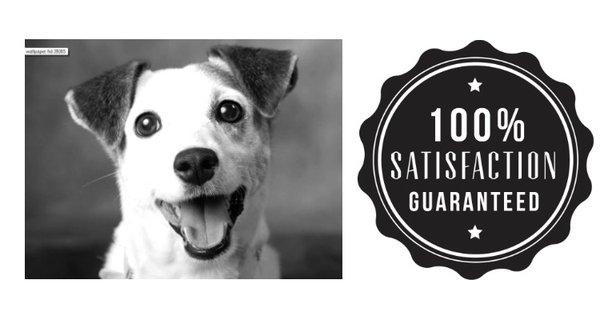 Wordpress Workshops for Beginners