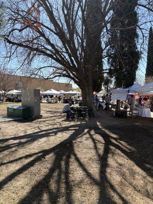 Tucson, peace and music festival