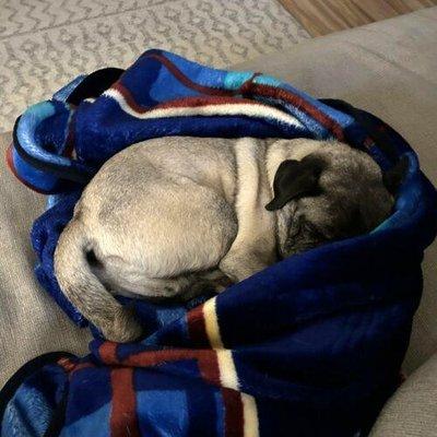 Darren Johnson-Go Have Fun