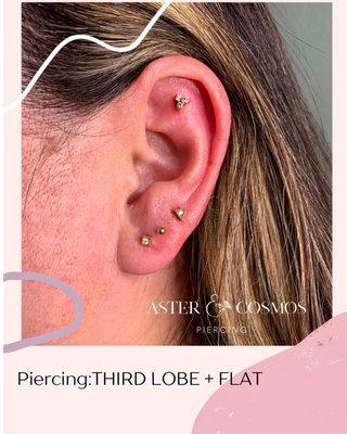 Aster and Cosmos Piercing