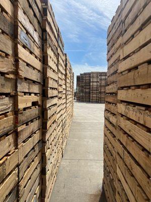 Essential Pallets