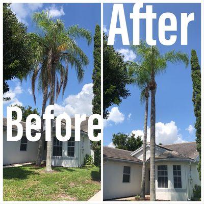 Okeechobee Tree Trimming & Removal