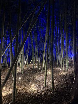 San Diego Botanic Garden