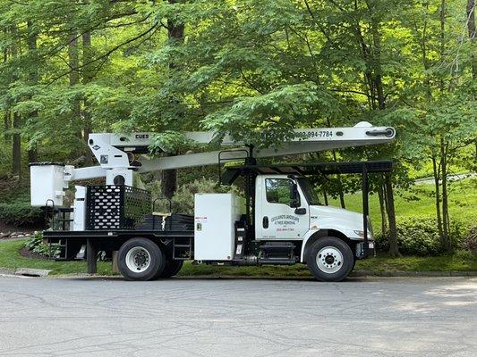 Ceciliano’s Landscaping & Tree Removal