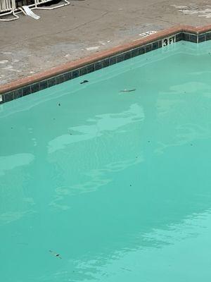 La Quinta Inn By Wyndham San Antonio I-35 N at Rittiman RD