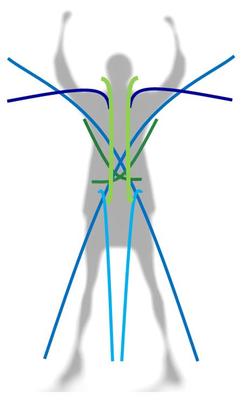Massage Integrating eXercise AdvanceD Bodywork