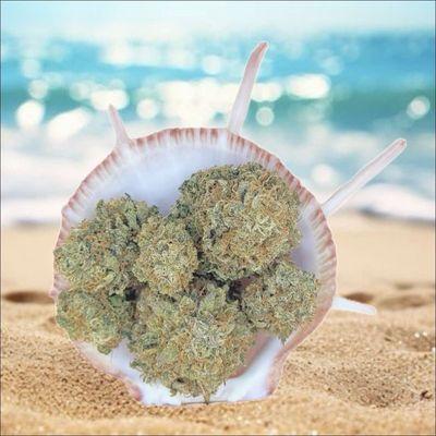 Our flower is grown locally by the owner. Indoor produced, rainwater fed without the use of pesticides.