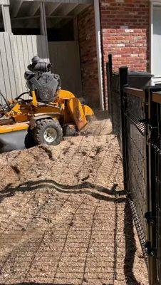 Albelino Tree Service and Landscaping