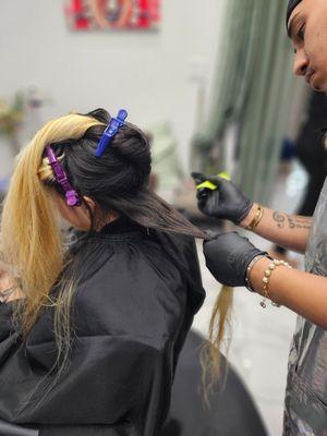 Color Dicted Hair Beauty