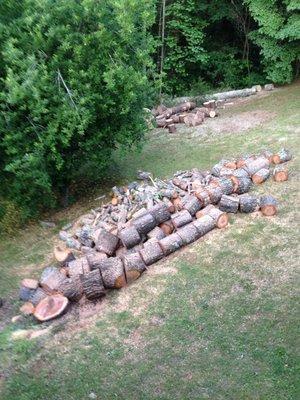 Arborscapes Tree Service