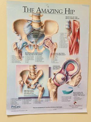 Bone & Joint Clinic