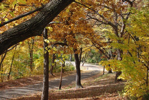Laura Bradley Park