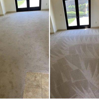 Cleopatra Carpet Care