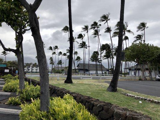 Hoaloha Park