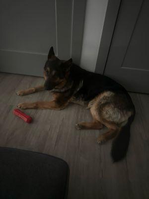 Red Barn Veterinary Clinic