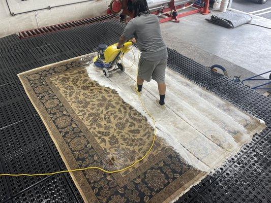 Thoroughly shampooing an area rug