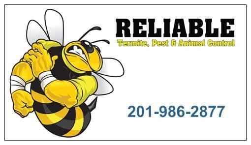 Reliable Pest & Animal Control