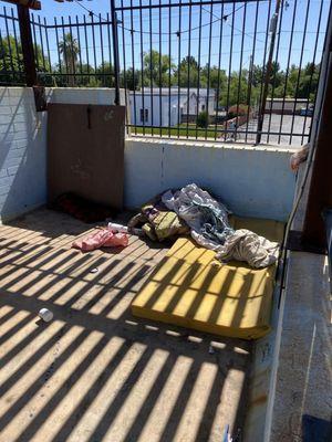 The Elton APartments