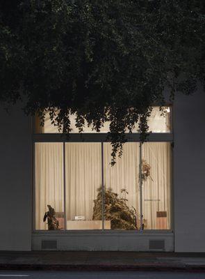 Flagship DTLA storefront