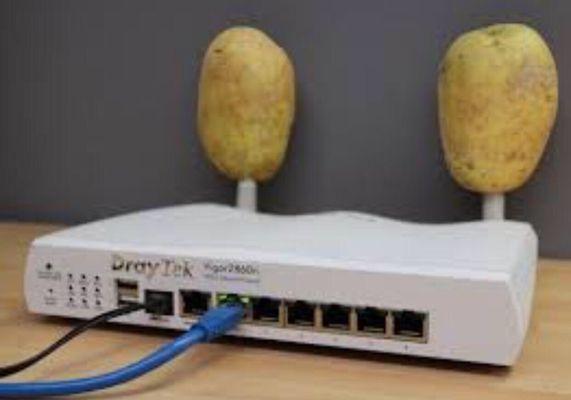 west virgina university