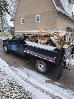 Stay Brush Tree Service and Landscaping