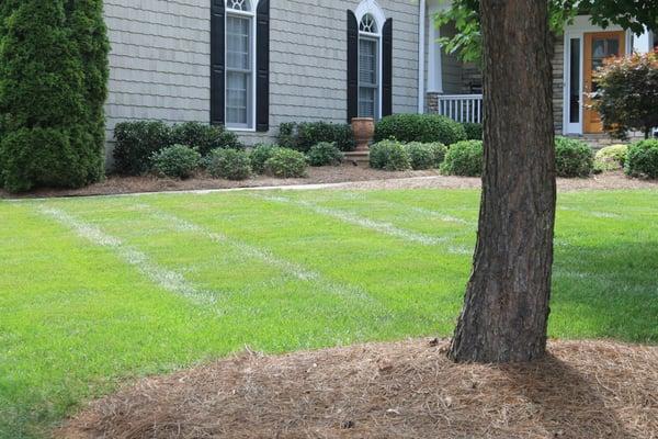 Piedmont South Turf Management