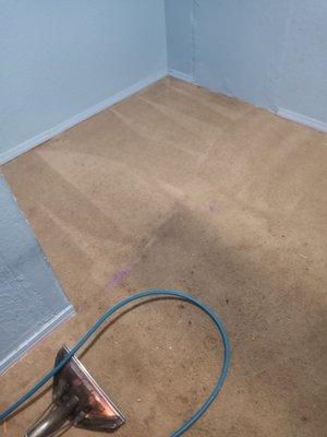 All Bay Area Cleaning