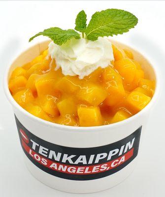 Tenkaippin
