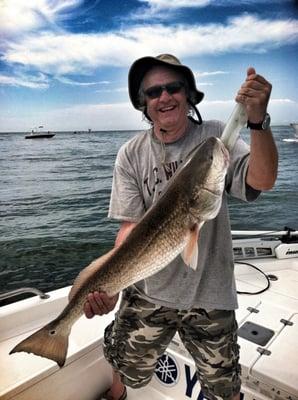 The Davis Team - New South Realtors