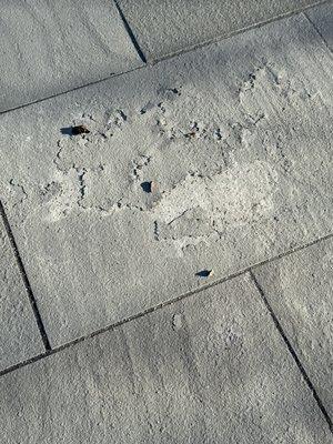 Jeff Collins Stone Supply