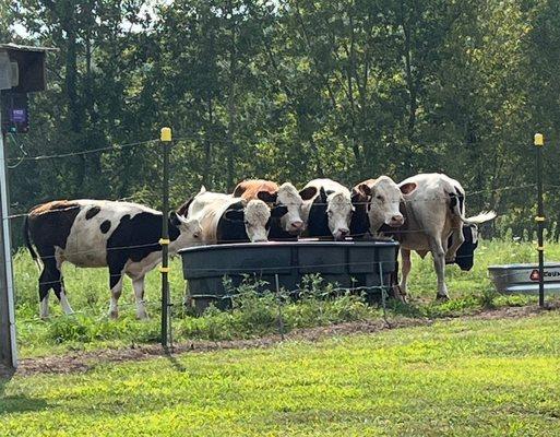 Indian Ridge Preserve